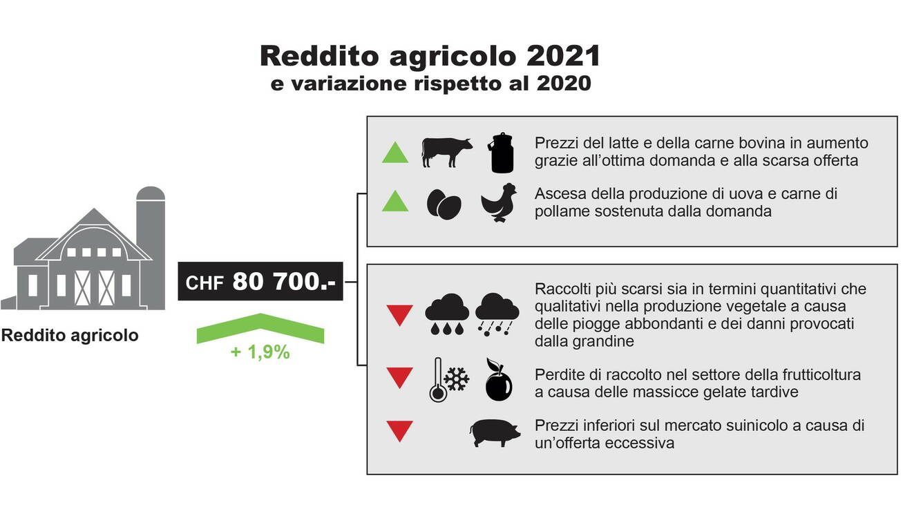 Rapporto agricolo 2022 - Aziende individuali