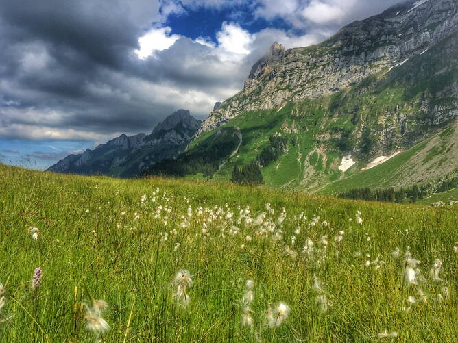 ab22_foto_alpgebiet.jpg